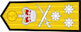 Vice admiral insignia