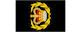 Warrant officer class 2 insignia