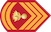Επιλοχίας / Epilochias insignia
