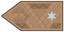 Dandártábornok insignia