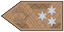 Altábornagy insignia