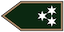 Szakaszvezető insignia