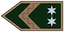 Törzsőrmester insignia
