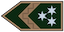 Főtörzsőrmester insignia