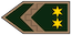 Törzszászlós insignia