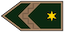 Zászlós insignia