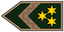 Főtörzszászlós insignia