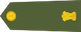 Major insignia