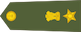 Lieutenant colonel insignia
