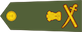 Lieutenant general insignia