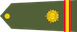 Naib Subedar insignia