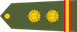 Subedar insignia