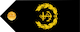 Chief petty officer insignia