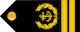 Master chief petty officer 1st class insignia