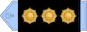 سرهنگ Sarhang insignia