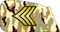 گروهبان یکم Goruhban yekom insignia