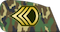 استوار دوم Ostovar dovom insignia