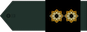 ستوان دوم پاسدار Sotwan dovom pasdar insignia
