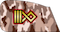 رزم‌یار Razmyar pasdar insignia