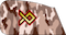 ناوی Nawi pasdar insignia