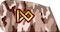 ناوی دوم Nawi dome pasdar insignia