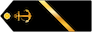 Daneshjuye daneshgahe imam khomeini insignia