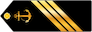 Daneshjuye daneshgahe imam khomeini insignia