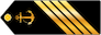 Daneshjuye daneshgahe imam khomeini insignia