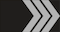 Flokkstjóri 2. insignia