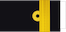 Framkvæmdastjóri aðgerðasviðs insignia