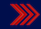 Primo aviere insignia
