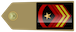 Caporale maggiore capo scelto q.s. insignia