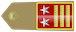 Primo luogotenente q.s. insignia