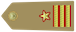 Luogotenente insignia