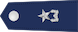 준장 准將 Junjang insignia
