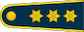 Kapitonas insignia