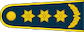 Pulkininkas insignia