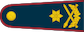 Brigados generolas insignia