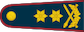Generolas majoras insignia