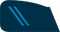 Eilinis insignia