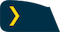 Grandinis insignia