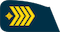 Viršila insignia