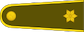 Leitenantas insignia