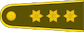Kapitonas insignia