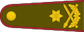 Brigados generolas insignia