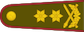 Generolas majoras insignia