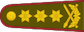 Generolas leitenantas insignia