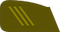 Vyresnysis eilinis insignia