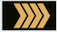Štabo laivūnas insignia