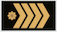Vyresnysis laivūnas insignia